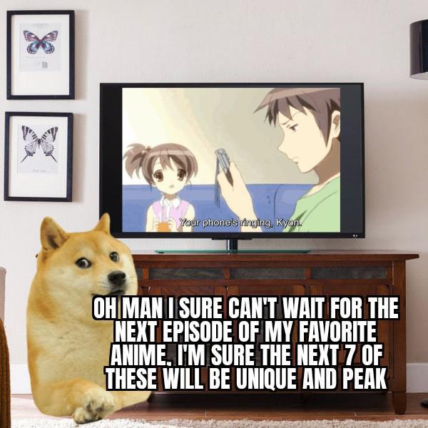 Your phone's ringing, Kyon. OH MAN I SURE CAN'T WAIT FOR THE NEXT EPISODE OF MY FAVORITE ANIME. I'M SURE THE NEXT 7 OF THESE WILL BE UNIQUE AND PEAK