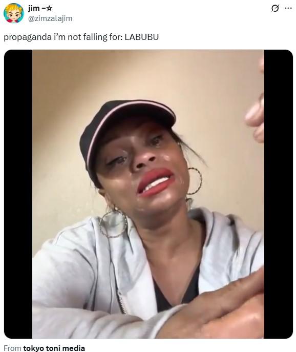 An example of the "propaganda I'm not falling for" meme. The meme calls out Labubu Doll love.