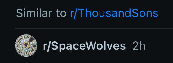 Similar to r/ThousandSons r/SpaceWolves 2h