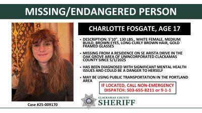 The missing person report for Charlotte Fosgate of Clackamas County, Oregon, who took her own life in May 2025, following a "tweet":https://knowyourmeme.com/memes/sites/twitter-x that read, "It's a pretty view," on her account @burntfishie.