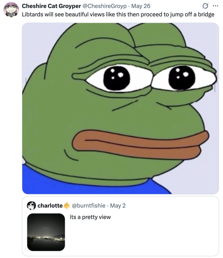 A "quote-tweet":https://knowyourmeme.com/memes/quote-retweets-qrts with a "Pepe":https://knowyourmeme.com/memes/pepe-the-frog spreading a hateful joke about the suicide of Charlotte Fosgate.