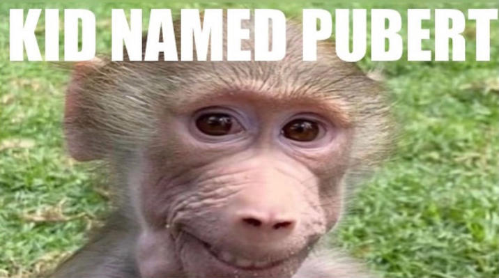 Meme Template / Reaction Image The original Kid Named Pubert "meme":https://knowyourmeme.com/memes/memes, showing a "monkey":https://knowyourmeme.com/memes/monkeys-apes named Pubert. The meme allegedly fixes broken iPhone screens, per a viral May 2025 "tweet":https://knowyourmeme.com/memes/sites/twitter-x.