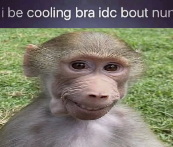 i be coolin bra idc bout nun A "meme":https://knowyourmeme.com/memes/memes showing Pubert the "monkey":https://knowyourmeme.com/memes/monkeys-ape with the caption, "I be coolin bra idc bout nun."