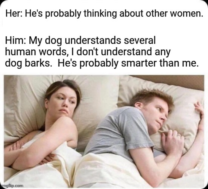 Her: He's probably thinking about other women. Him: My dog understands several human words, I don't understand any dog barks. He's probably smarter than me. imgflip.com