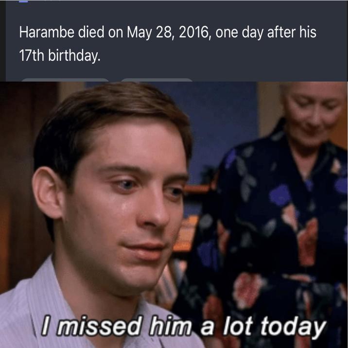 Harambe died on May 28, 2016, one day after his 17th birthday. I missed him a lot today