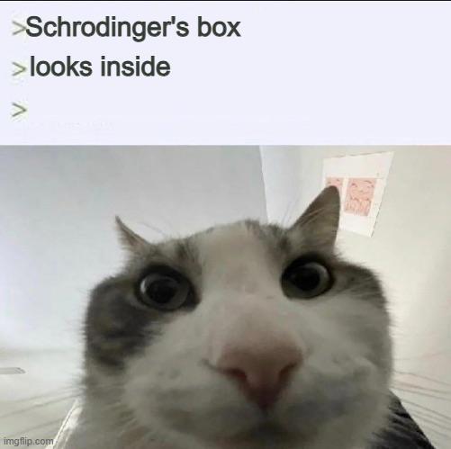 >Schrodinger's box > looks inside Λ imgflip.com