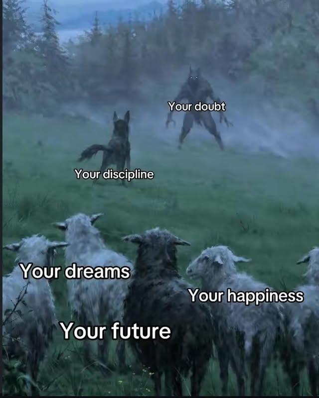 Your discipline Your dreams Your doubt Your future Your happiness