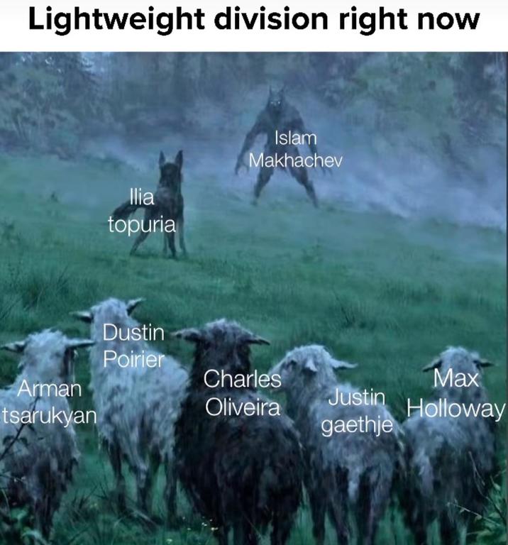 Lightweight division right now Islam Makhachev Ilia topuria Dustin Poirier Charles Max Arman Oliveira tsarukyan Justin Holloway gaethje
