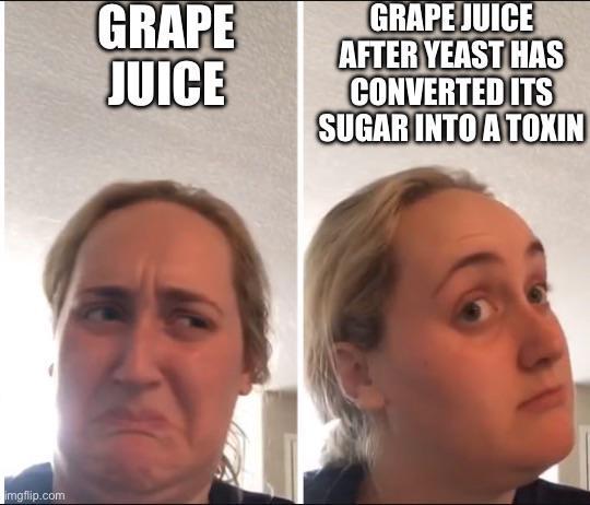 imgflip.com GRAPE JUICE GRAPE JUICE AFTER YEAST HAS CONVERTED ITS SUGAR INTO A TOXIN