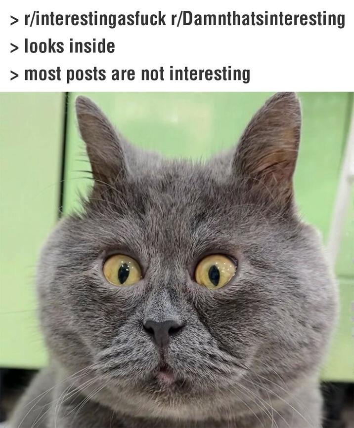 r/interestingasfuck r/Damnthatsinteresting > looks inside > most posts are not interesting