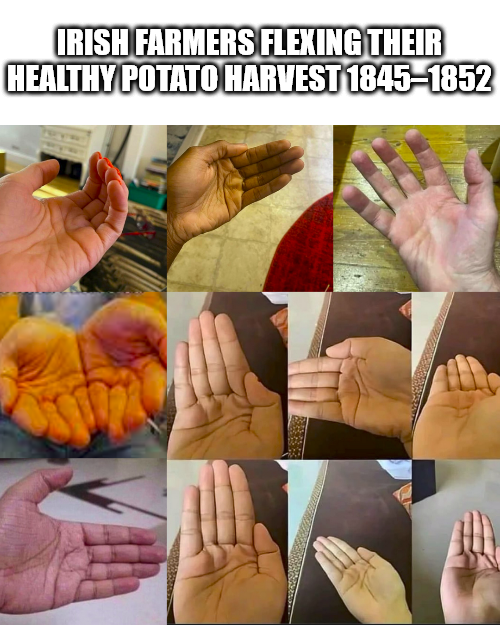 IRISH FARMERS FLEXING THEIR HEALTHY POTATO HARVEST 1845-1852