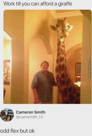 Work till you can afford a giraffe LSM Cameron Smith @camsmith 13 odd flex but ok MemeCenter.com