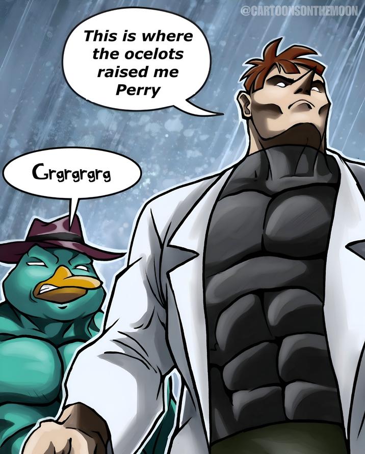 This is where the ocelots raised me Perry Grgrgrgrg @CARTOONSONTHEMOON