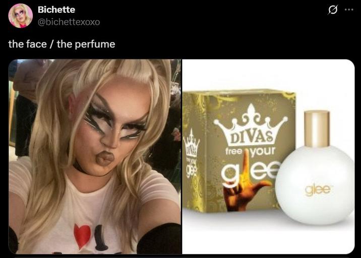 the face / the perfume (glee version) Bichette @bichettexoxo the face / the perfume DIVAS free your gee glee