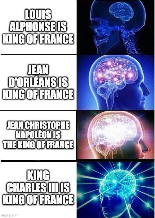 LOUIS ALPHONSE IS KING OF FRANCE JEAN D'ORLEANS IS KING OF FRANCE JEAN CHRISTOPHE NAPOLÉON IS THE KING OF FRANCE KING CHARLES III IS KING OF FRANCE imgflip.com