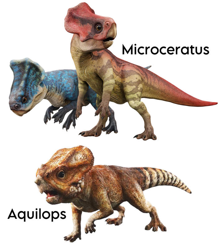 Aquilops Microceratus