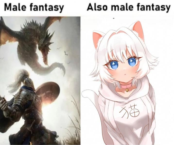 Male fantasy Also male fantasy 猫
