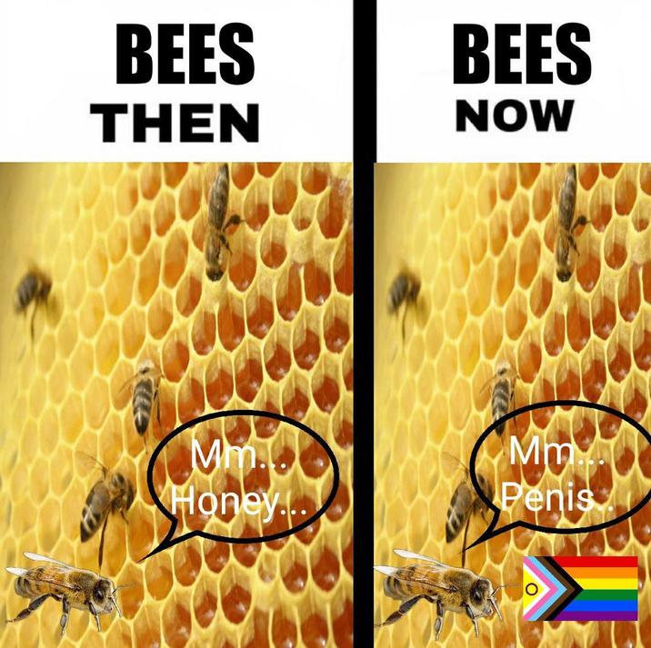 BEES BEES THEN NOW Mm.. Honey... Mm... Penis