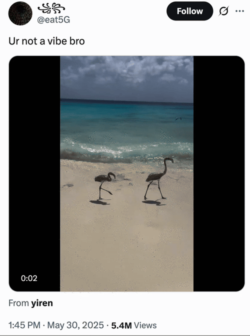Twitter / X user @eat5G posted the video of a pair of birds walking along the shoreline on a beach before getting knocked over by the incoming tide. The video was captioned, "Ur not a vibe bro," gathering over 81,000 likes in three days. 