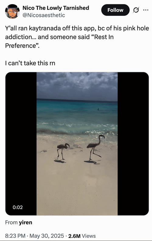 X user @Nicosaesthetic tweeted, "Y’all ran kaytranada off this app, bc of his pink hole addiction… and someone said “Rest In Preference”. I can’t take this rn" The tweet was posted alongside a video of a pair of birds walking along a shoreline before getting wiped out by a wave.