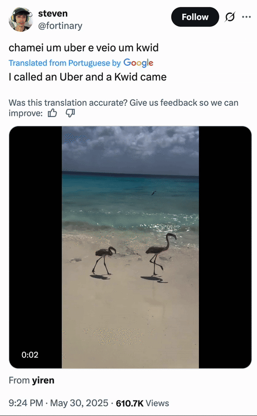 X user @fortinary tweeted the video of a pair of baby flamingoes getting knocked out by a wave on a beach alongside a caption that translates to, "I called an Uber and a Kwid came." The post gathered over 22,000 likes in three days.