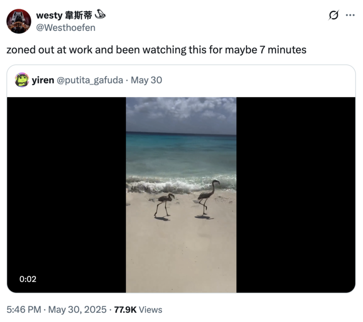 X user @Westhoefen reposted the video of two flamingos walking down a beach only to get knocked over by a wave, writing, "zoned out at work and been watching this for maybe 7 minutes."