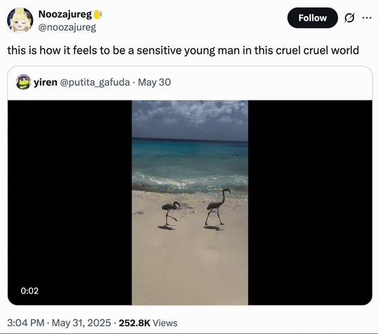 X user @noozajureg reposted the video of two birds walking down a shoreline and falling over after being pushed by a wave. The post gathered over 13,000 likes in two days.