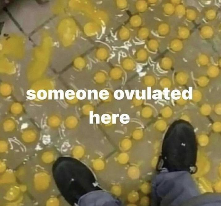 someone ovulated here