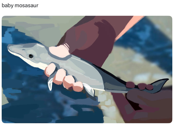 baby mosasaur