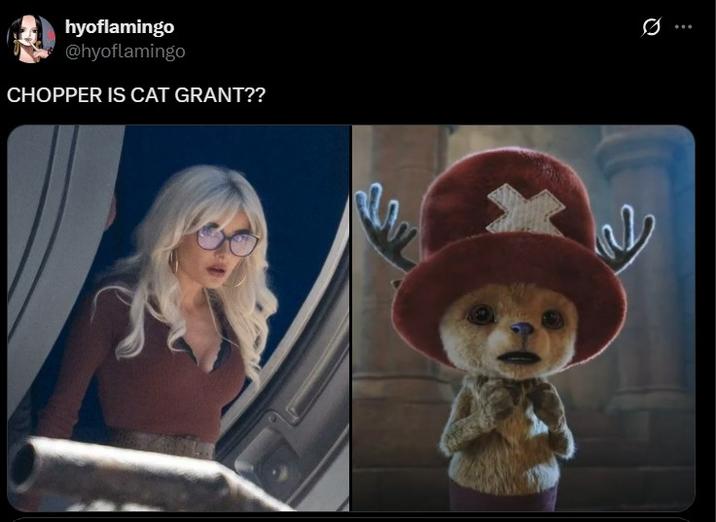 hyoflamingo @hyoflamingo CHOPPER IS CAT GRANT?? am 0 W