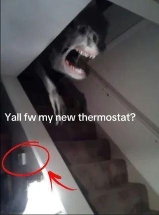 Yall fw my new thermostat?