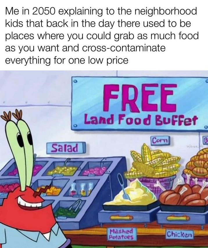 Me in 2050 explaining to the neighborhood kids that back in the day there used to be places where you could grab as much food as you want and cross-contaminate everything for one low price. FREE Land Food Buffet Salad Corn B B w/evan z Mashed Potatoes Chicken