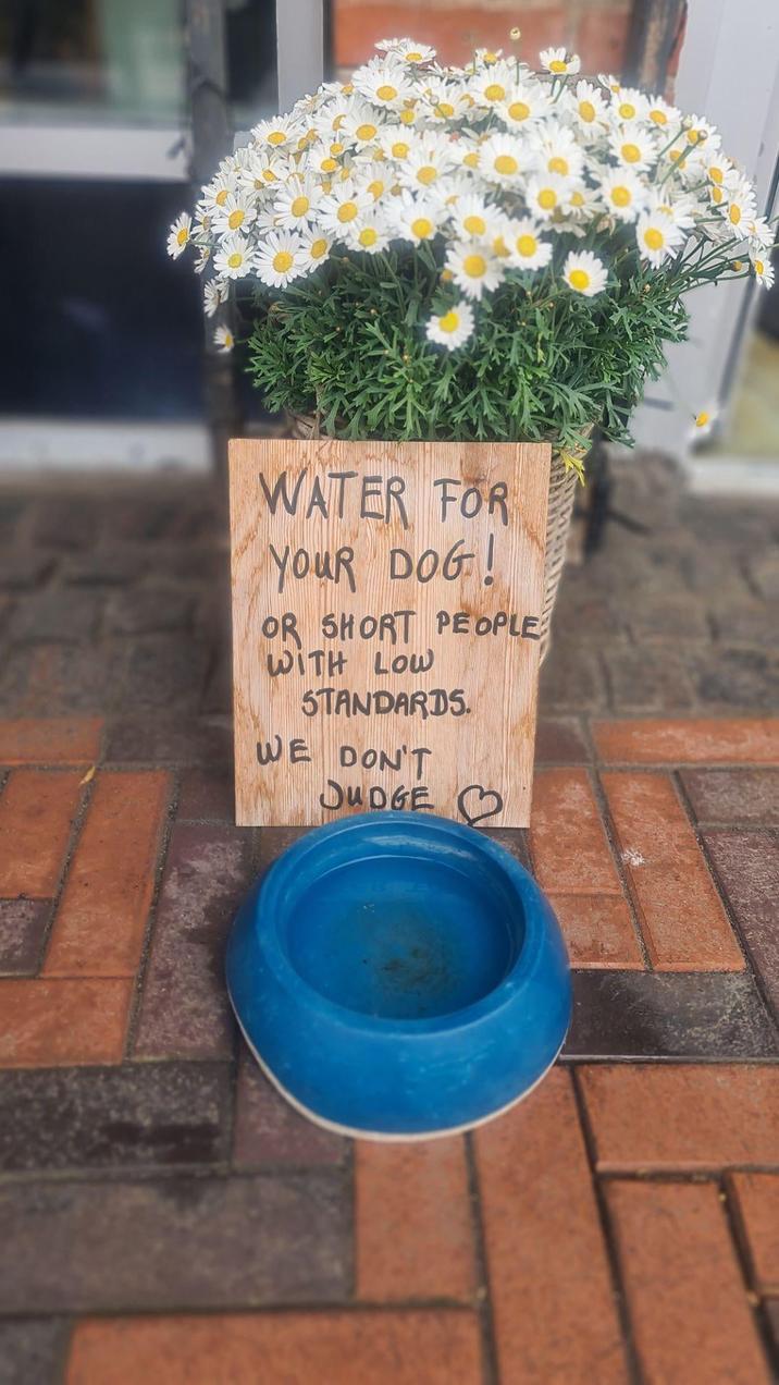 WATER FOR YouR DOG! OR SHORT PEOPLE WITH LOW STANDARDS. WE DON'T DUDGE
