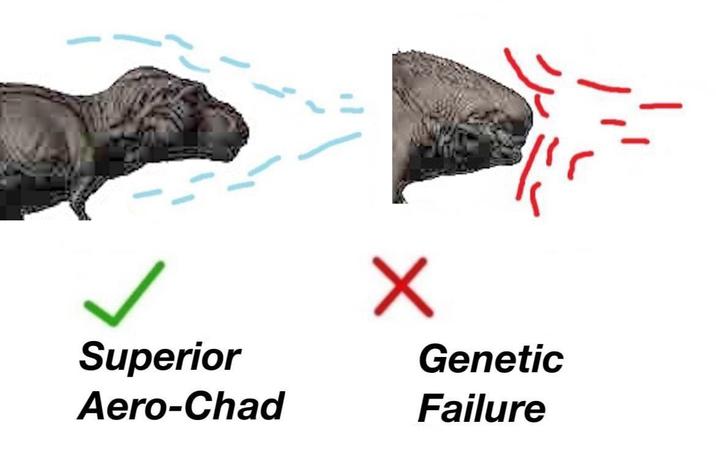 Superior Aero-Chad ✓ Genetic Failure