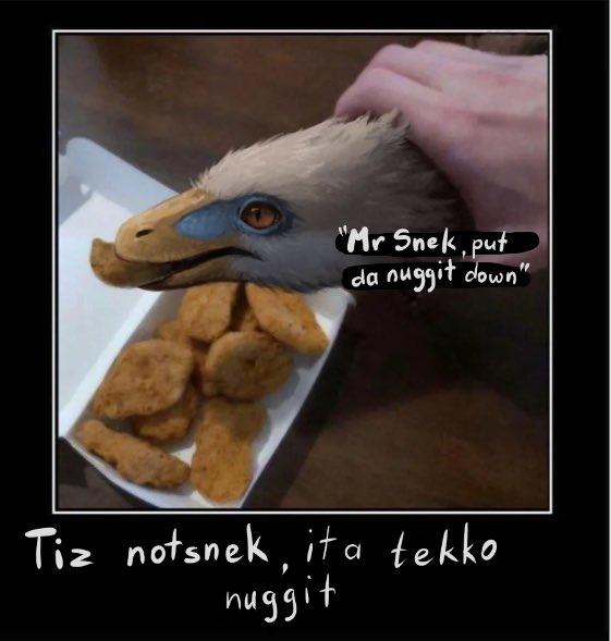 "Mr Snek, put da nuggit down" Tiz notsnek, ita tekko nuggit