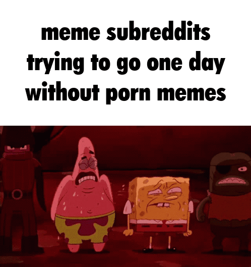 meme subreddits trying to go one day without p--- memes