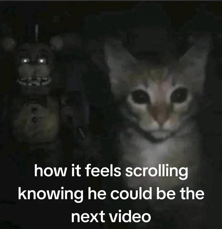 A "meme":https://knowyourmeme.com/memes/memes of a cat and "Freddy Fazbear":https://knowyourmeme.com/memes/freddy-fazbear, related to author "Quan Millz":https://knowyourmeme.com/memes/people/quan-millz and the "It's Me Again" "meme":https://knowyourmeme.com/memes/memes.