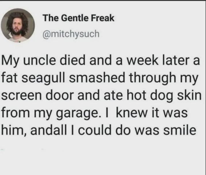 The Gentle Freak @mitchysuch My uncle died and a week later a fat seagull smashed through my screen door and ate hot dog skin from my garage. I knew it was him, andall I could do was smile