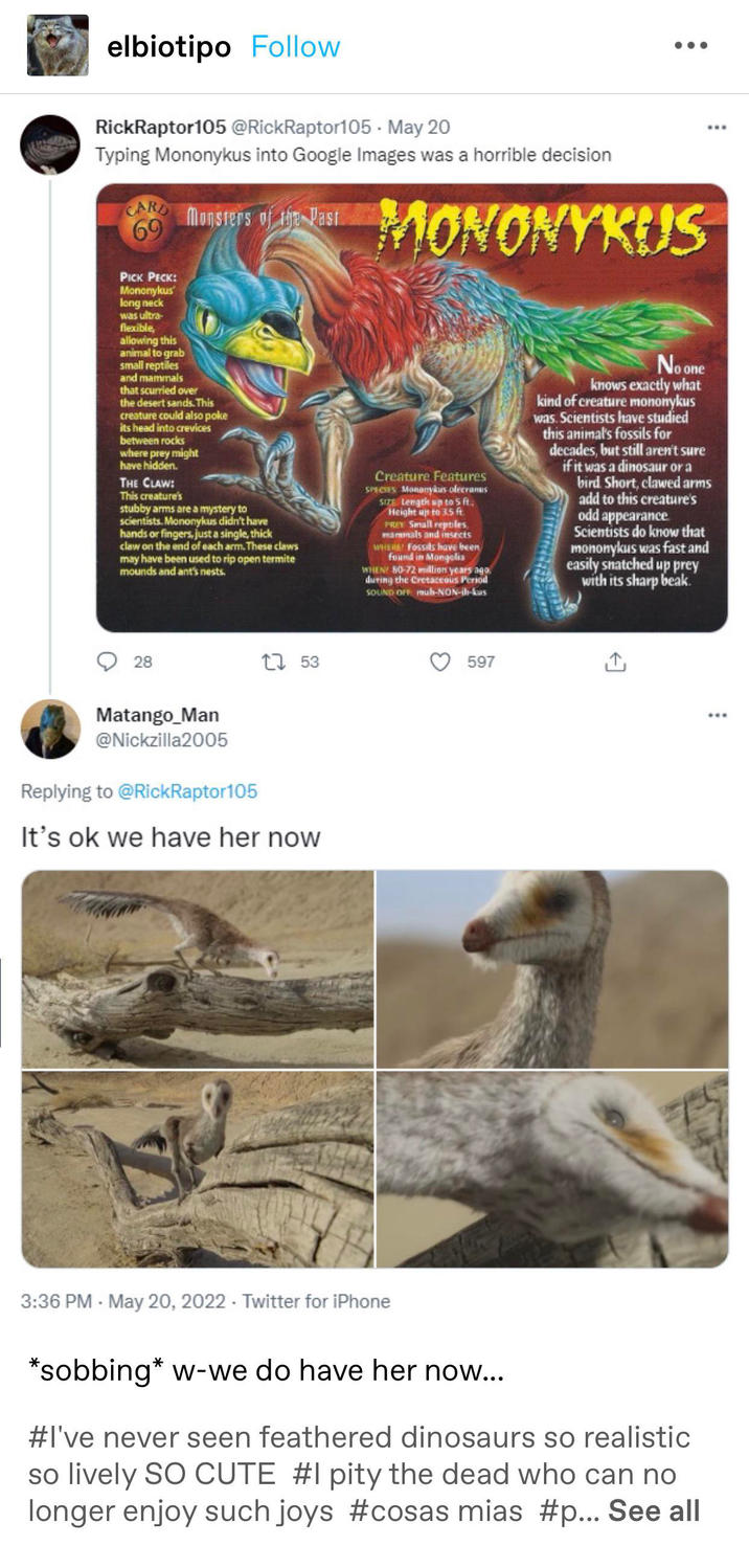 elbiotipo Follow RickRaptor105 @RickRaptor105 May 20 Typing Mononykus into Google Images was a horrible decision CARD 69 Monsters of the Past MONONYKUS www PICK PECK: Mononykus long neck was ultra- flexible, allowing this animal to grab small reptiles and mammals that scurried over the desert sands. This creature could also poke its head into crevices between rocks where prey might have hidden. THE CLAW: This creature's stubby arms are a mystery to scientists. Mononykus didn't have hands or fingers, just a single, thick claw on the end of each arm. These claws may have been used to rip open termite mounds and ant's nests. Creature Features SPECIES Mononykus olecranus SIZE Length up to 5 ft. Height up to 3.5 ft. PREY Small reptiles, mammals and insects WHERE! Fossils have been found in Mongolia WHEN 80-72 million years ago during the Cretaceous Period SOUND OFF muh-NON-ih-kus No one knows exactly what kind of creature mononykus was. Scientists have studied this animal's fossils for decades, but still aren't sure if it was a dinosaur or a bird Short, clawed arms add to this creature's odd appearance Scientists do know that mononykus was fast and easily snatched up prey with its sharp beak. 28 1753 Matango_Man @Nickzilla2005 Replying to @RickRaptor105 It's ok we have her now 3:36 PM - May 20, 2022 Twitter for iPhone 597 *sobbing* w-we do have her now... #I've never seen feathered dinosaurs so realistic so lively SO CUTE #I pity the dead who can no longer enjoy such joys #cosas mias #p... See all