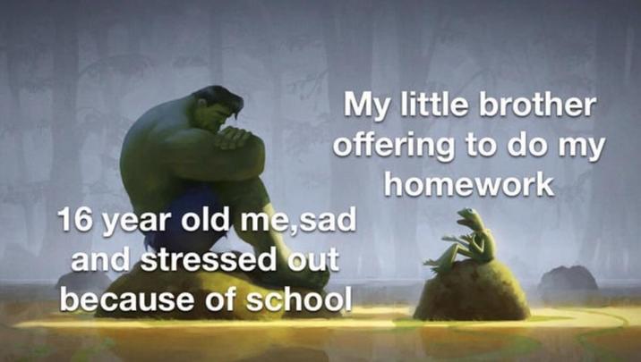 My little brother offering to do my homework 16 year old me,sad and stressed out because of school