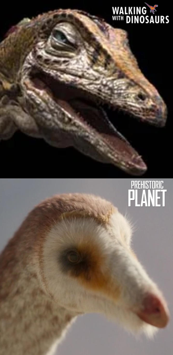 WALKING WITH DINOSAURS PREHISTORIC PLANET