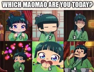 Small (maomao) meme WHICH MAOMAO ARE YOU TODAY? 2 3 5 6