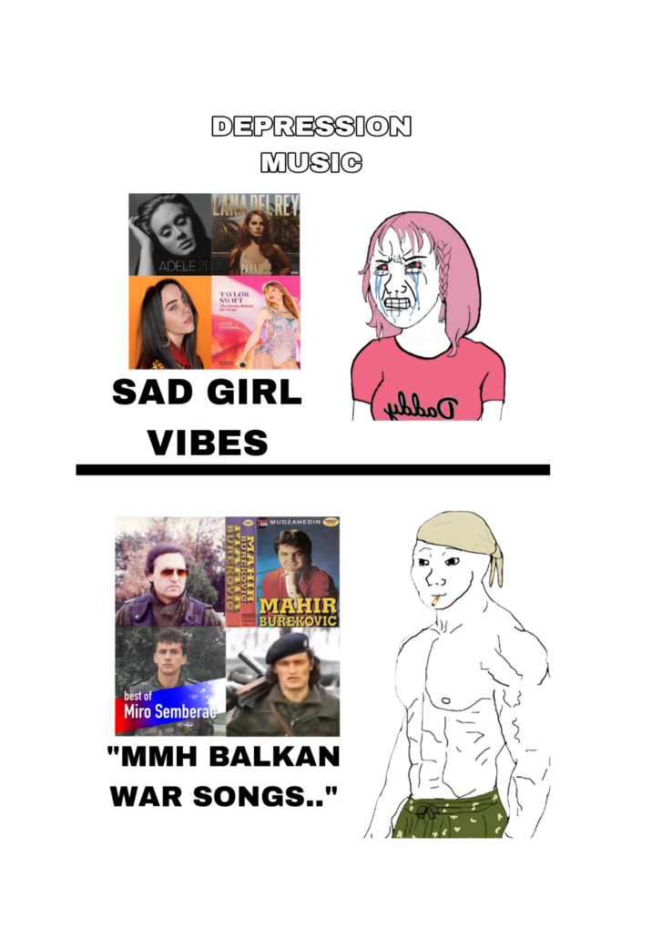 DEPRESSION MUSIC LANA DEL REY ADELE 21 PARADISE TAYLOR SWIFT The Stories Behind the Songs ANNIE ZALESKI SAD GIRL bo VIBES неввост TAY DROGA MUDŽAHEDINCMBER BAND BUREKOVIC 0 MAHIR BUREROVIC GEMA STEREO MAHIR BUREKOVIC best of Miro Semberac "MMH BALKAN WAR SONGS.."