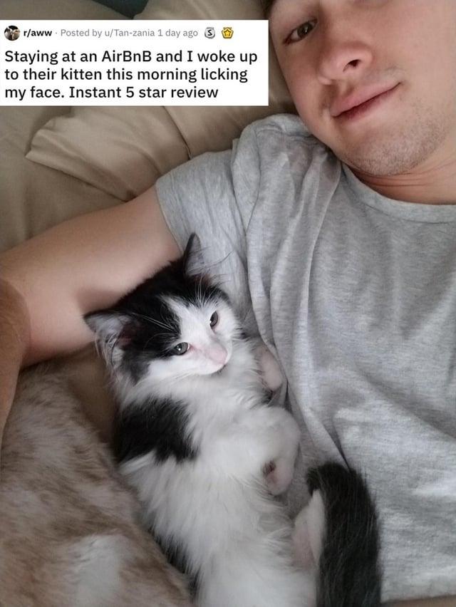 r/aww Posted by u/Tan-zania 1 day ago Staying at an AirBnB and I woke up to their kitten this morning licking my face. Instant 5 star review