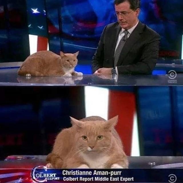 OLBERT Christianne Aman-purr ART Colbert Report Middle East Expert