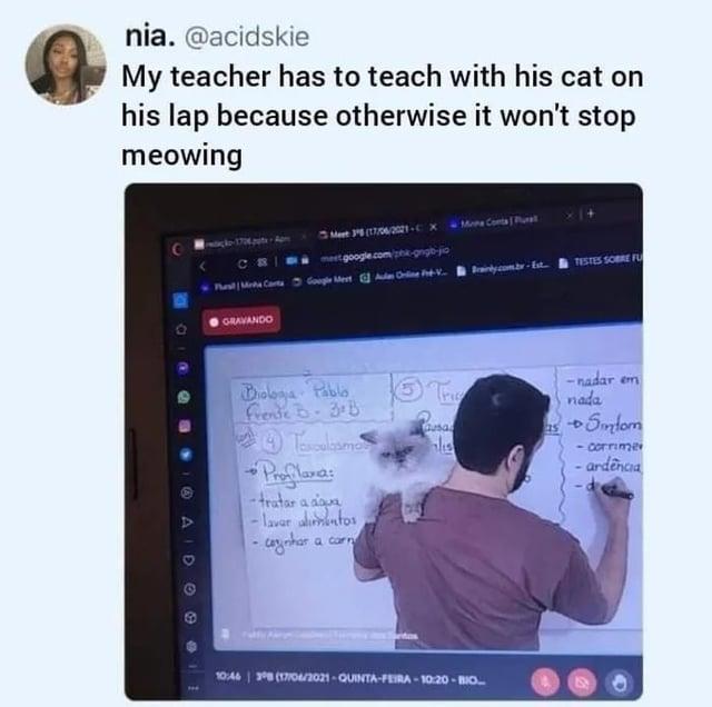 nia. @acidskie My teacher has to teach with his cat on his lap because otherwise it won't stop meowing E A 0 @ Meet 35 (17/06/2021-cx Mina Conta Pust mest.google.com/shk.gngb-jio Phoral/Mote Carts Google Meet Au Cine Pré-V... Brainly.com.br-Est... TESTES SOBRE FU GRAVANDO Biologia Pablo Frende B⋅ 3∙B Toxulasmo Profilana -tratar a agua - laver alimentos conhar a carn Tri usa 25 10:46 | 3ºB (17/06/2021-QUINTA-FEIRA-10:20-BIO... -nadar em nada →Sintom - corrime -ardência
