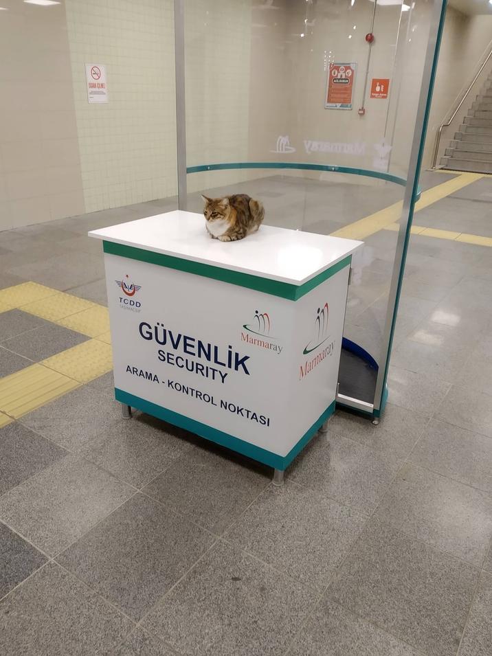 SIGARA COLME TCDD TASIMACIUY Marmaray GÜVENLİK SECURITY ARAMA-KONTROL NOKTASI S Marmaray AC DURUM