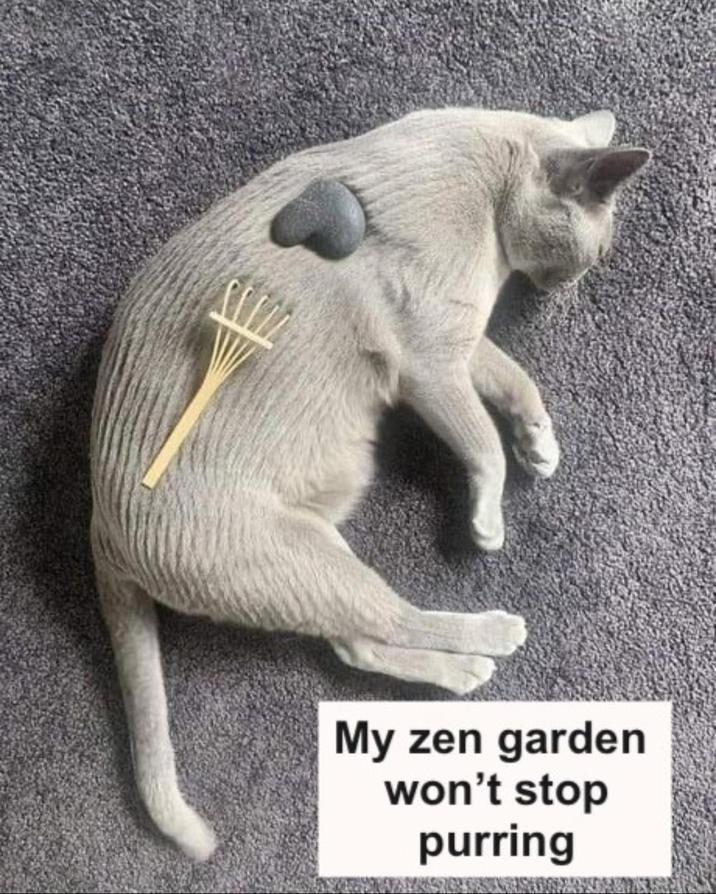 My zen garden won't stop purring