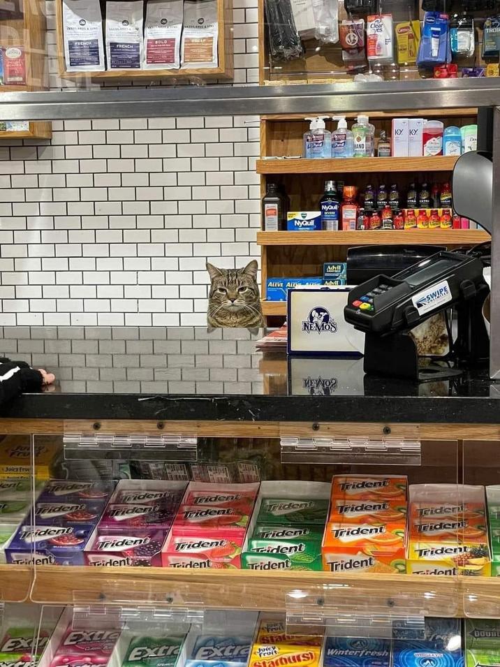 Fru Joicy Frui VISTICARDONE VASSILANDS & SONS Clear VASSLANDS & SONS VASSILANIE FRENCH- BOLD FRENCH taxt KY KY Do Land HAND NyQuil NyQuil STRA LEVERE Advil ALEVE ALEE Arai Advil NEMOS ΜΕΛΟΣ SWIPE ent riden Fident Trident Trident Trident Trident Trident Trident Trident Trident Trident Trident ident Trident ident Trident Trident Triden ident Trident Trident Trident Trident EXT Extle Fruit Sta Extr Extre Starburs Winterfresh WRIGLEY DOUBL TRO