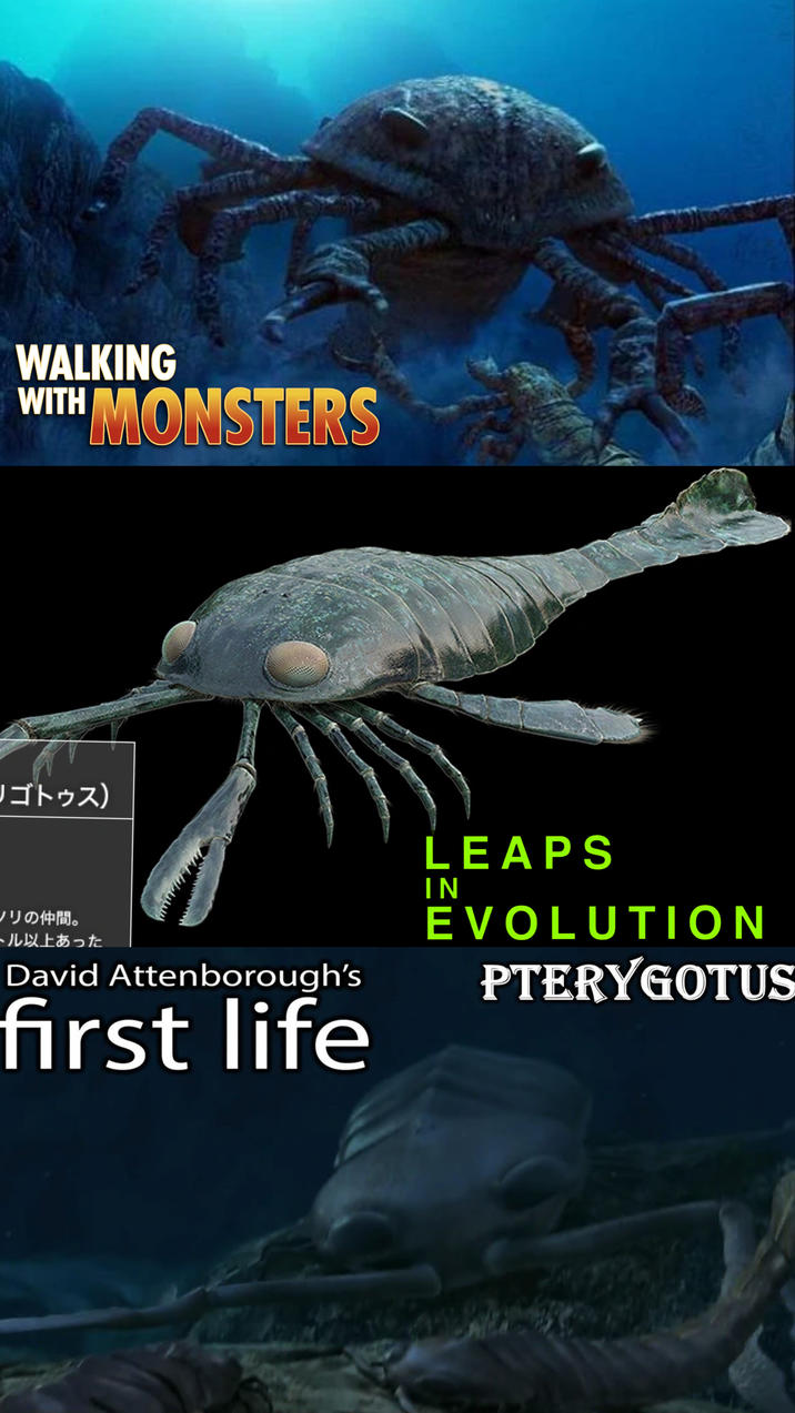 WALKING WITH MONSTERS リゴトゥス) ノリの仲間。 ール以上あった David Attenborough's first life LEAPS IN EVOLUTION PTERYGOTUS
